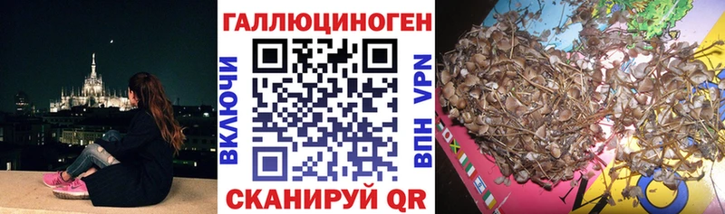 наркошоп  Подпорожье  МЕГА как зайти  Псилоцибиновые грибы Psilocybine cubensis 